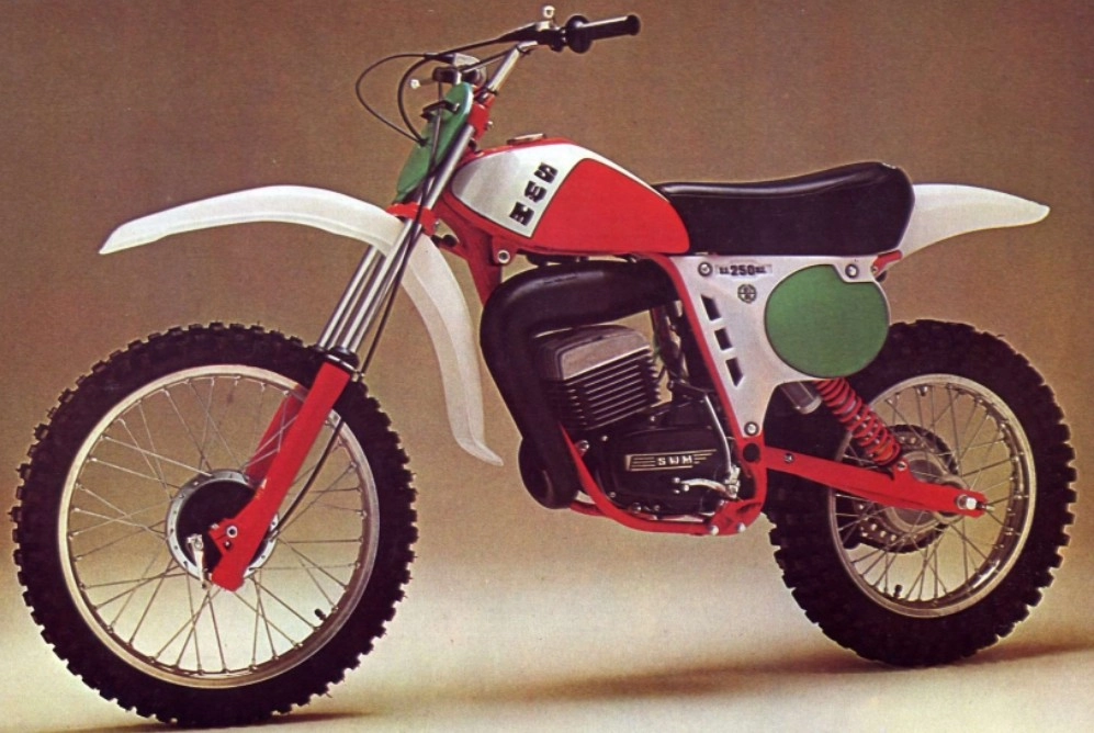 RS 250 MC